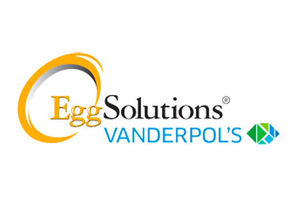 egg solutions case study